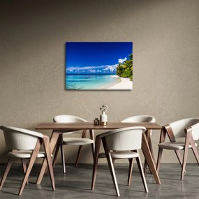 Obraz tropickej pláže (70x50 cm)
