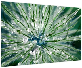 Obraz - Makro snímka kvetu (90x60 cm)