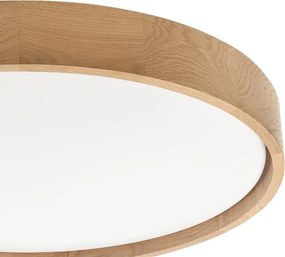 BRILAGI - LED stmievateľné stropné svietidlo MANAROLA SMART LED/36W/230V priemer 51 cm + diaľkové ovládanie