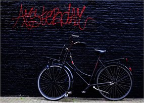 Obraz bicykla v Amsterdame (70x50 cm)