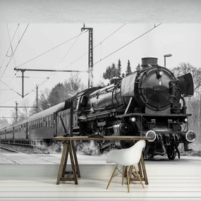 Fototapeta - Parná lokomotíva (152,5x104 cm)