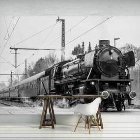 Fototapeta - Parná lokomotíva (254x184 cm)