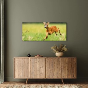 Obraz - Srnček (120x50 cm)