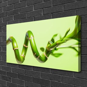 Obraz Canvas Bambus rastlina príroda 120x60 cm
