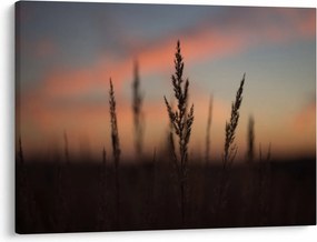 Obraz - Silueta rastliny (70x50 cm)