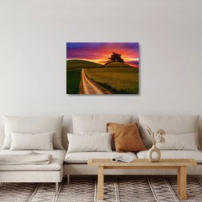 Sklenený obraz poľa pri západe slnka (70x50 cm)