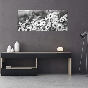 Obraz - Kopretiny (120x50 cm)