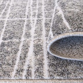 DY Sivý minimalistický koberec s bielymi linkami Enigma 05 Rozmer: 200x290 cm