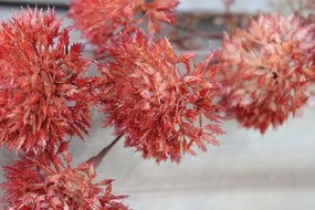 Oranžová umelá kytička poľných kvietkov 49cm