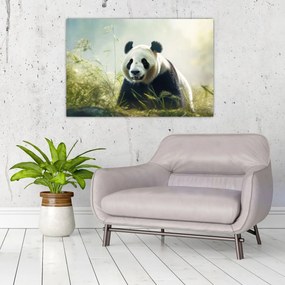 Obraz - Panda (90x60 cm)