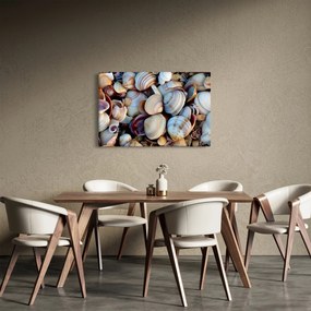 Obraz mušlí (90x60 cm)