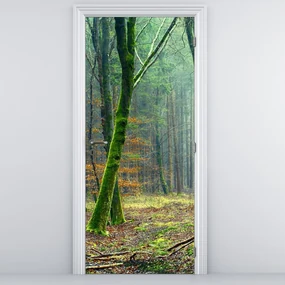 Fototapeta na dvere - Les (95x205cm)
