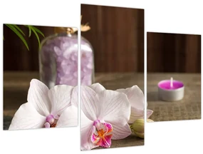 Obraz - Sviečka a orchidey (90x60 cm)