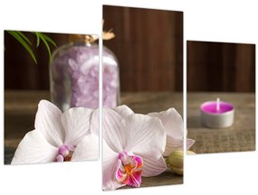 Obraz - Sviečka a orchidey (90x60 cm)