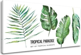 Obraz na stenu s textom Tropical paradise