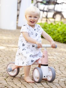 WELLHOX Balančný bicykel "Flamingo"