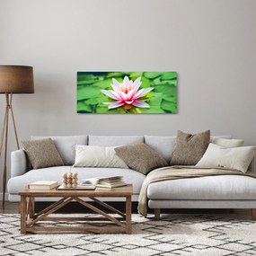 Obraz lekna na hladine (120x50 cm)