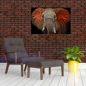 Obraz - Slony z Tsavo (90x60 cm)