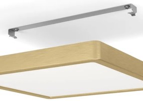 Eglo 900184 - LED stropné svietidlo FUEVA LED/20,5W/230V