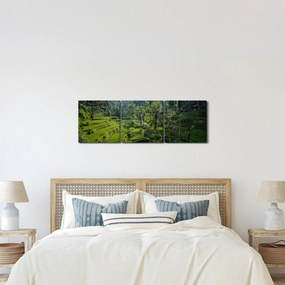 Obraz ryžových terás Tegalalang, Bali (s hodinami) (90x30 cm)
