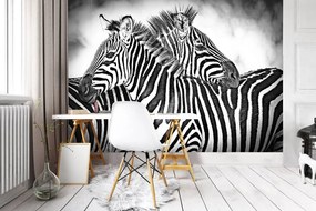 Fototapeta - Zebra (254x184 cm)