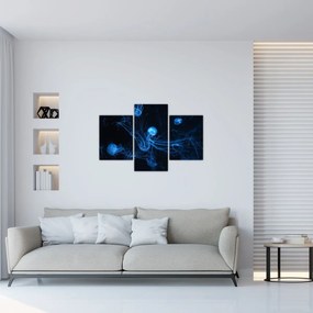 Obraz - Medúzy (90x60 cm)