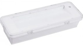 FULGUR Nástenné/stropné núdzové svietidlo LED MIRROR, 1 hodina, studená biela, IP65