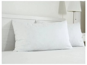 Bavlnená obliečka na vankúš 45x75 cm Visco – B.E.S.