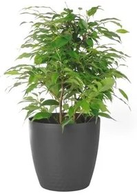 Plastia Plastový kvetináč Perla 25 cm, antracit, Plastia, pr. 25 cm