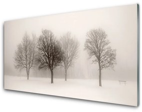 Skleneny obraz Sneh stromy príroda 125x50 cm