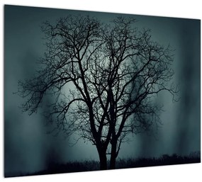 Sklenený obraz stromov pri zatmení (70x50 cm)