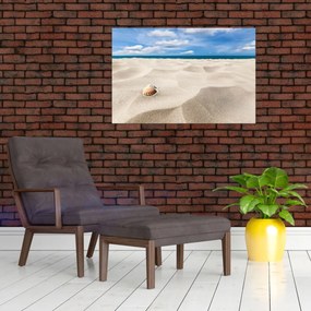 Obraz - Mušle na pláži (90x60 cm)