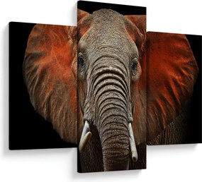 Obraz - Slony z Tsavo (90x60 cm)