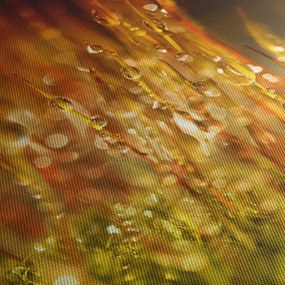 Obraz - Detail rosy (70x50 cm)