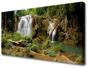 Obraz na plátne Vodopád rieka les príroda 100x50 cm