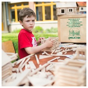 Walachia - Vario massive box - 418 ks