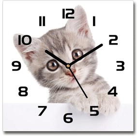 Sklenené hodiny štvorec Sivá mačka pl_zsk_30x30_c-f_80791907