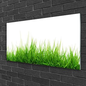 Skleneny obraz Tráva príroda rastlina 100x50 cm