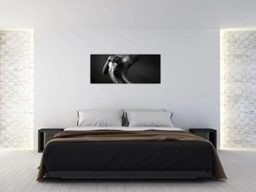 Obraz - Akt ženy (120x50 cm)