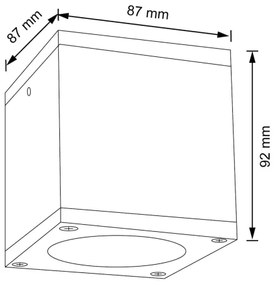 Vonkajšie nástenné svietidlo MORRIS 1xGU10/35W/230V IP54