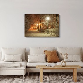 Obraz - Zasnežený park (90x60 cm)