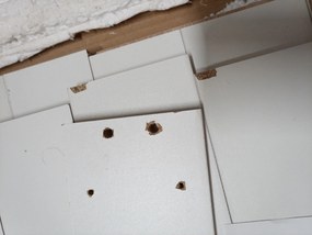 AKCIA Biely jedálenský stôl s doskou v dekore dub sonoma MADO 120x80 II. akosť.