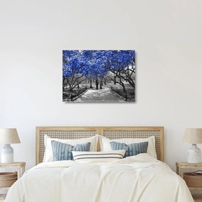 Obrázok - Modré stromy, Central Park, New York (70x50 cm)