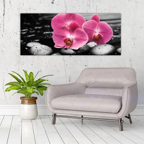 Obraz - Ružové orchidey (120x50 cm)