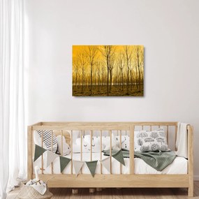 Sklenený obraz lesa pri západe slnka (70x50 cm)
