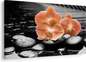 Obraz - Oranžové orchidey (90x60 cm)
