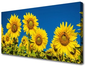 Obraz na plátne Slnečnicami rastlina 125x50 cm