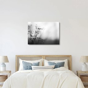 Obraz - Detail lúčnych kvetov (70x50 cm)