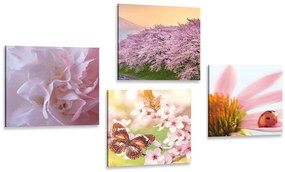 Set obrazov rozkvet prírody Varianta: 4x 60x60