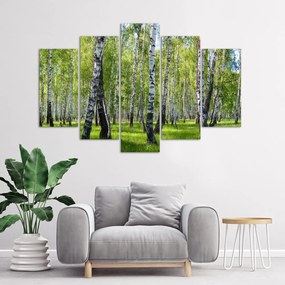 Obraz na plátně pětidílný Březový les - 150x100 cm
